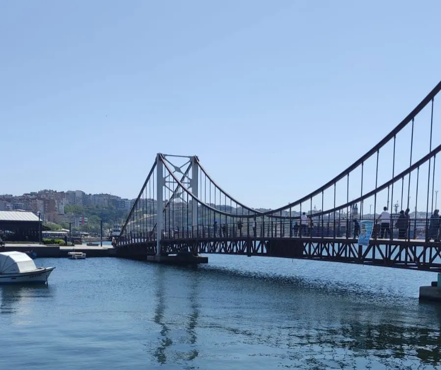 Photo of a bridge and lake.